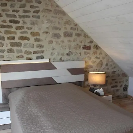 For 20 People Near Mont-saint-michel Ferienhaus *